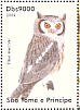 Northern White-faced Owl  Ptilopsis leucotis