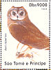 Marsh Owl  Asio capensis