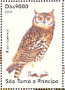 Cape Eagle-Owl  Bubo capensis