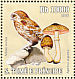 Little Owl Athene noctua  2006 Owls and mushrooms Sheet