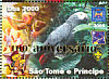 Grey Parrot  Psittacus erithacus