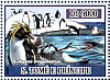 Chinstrap Penguin Pygoscelis antarcticus