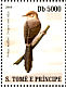 Sao Tome Prinia Prinia molleri  2007 Birds Sheet