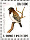 Bronze Mannikin Spermestes cucullata  2007 Birds Sheet