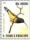 Principe Sunbird  Anabathmis hartlaubii