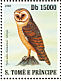 Western Barn Owl  Tyto alba