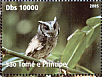Collared Scops Owl Otus lettia  2008 Owls Sheet