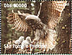 Great Grey Owl Strix nebulosa  2008 Owls Sheet