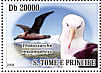 Black-browed Albatross  Thalassarche melanophris