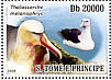 Black-browed Albatross  Thalassarche melanophris