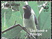 Sao Tome Oriole Oriolus crassirostris  2008 WWF 