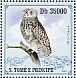 Powerful Owl  Ninox strenua