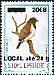 Bronze Mannikin Spermestes cucullata  2009 Overprint LOCAL 