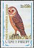 Western Barn Owl Tyto alba