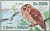 Sao Tome Scops Owl Otus hartlaubi