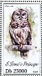 Barred Owl Strix varia  2013 Birds of prey Sheet