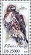 Red-tailed Hawk Buteo jamaicensis  2013 Birds of prey Sheet