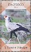 Secretarybird Sagittarius serpentarius