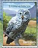 Great Grey Owl Strix nebulosa  2014 Owls Sheet