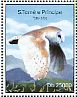 Western Barn Owl Tyto alba  2014 Owls Sheet