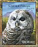Barred Owl Strix varia  2014 Owls  MS