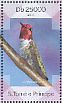 Anna's Hummingbird Calypte anna  2014 Hummingbirds Sheet