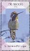 Allen's Hummingbird Selasphorus sasin  2014 Hummingbirds  MS