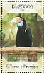 Wreathed Hornbill Rhyticeros undulatus  2014 Hornbills Sheet