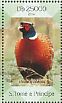 Common Pheasant Phasianus colchicus  2014 Pheasants Sheet