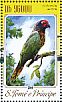 Yellow-streaked Lory Chalcopsitta scintillata  2014 Parrots  MS