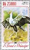 Secretarybird Sagittarius serpentarius