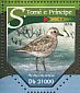 Grey Plover Pluvialis squatarola  2015 Plovers Sheet