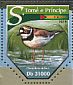 Little Ringed Plover Charadrius dubius  2015 Plovers Sheet