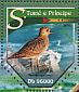 European Golden Plover Pluvialis apricaria  2015 Plovers  MS