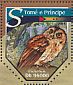 Sao Tome Scops Owl Otus hartlaubi  2015 Raptors  MS