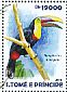 Yellow-throated Toucan Ramphastos ambiguus  2015 Toucans Sheet