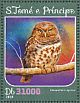 African Barred Owlet Glaucidium capense  2016 Owls Sheet
