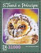 Brown Wood Owl Strix leptogrammica  2016 Owls Sheet