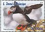 Atlantic Puffin Fratercula arctica