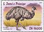 Emu Dromaius novaehollandiae  2016 African birds  MS