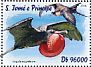 Magnificent Frigatebird Fregata magnificens