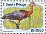 Glossy Ibis Plegadis falcinellus  2016 Asian birds Sheet