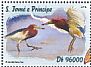 Chinese Pond Heron Ardeola bacchus  2016 Asian birds  MS