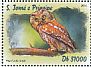 Boreal Owl Aegolius funereus