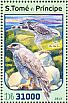 Grey Hawk Buteo plagiatus  2016 Birds of prey Sheet