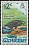 Common Black Hawk Buteogallus anthracinus  1970 Birds Chalk-surfaced paper