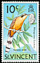 Mangrove Cuckoo Coccyzus minor  1973 Birds Glazed paper