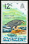 Common Black Hawk Buteogallus anthracinus  1973 Birds Glazed paper