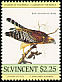 Red-shouldered Hawk Buteo lineatus  1985 Audubon 
