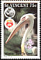 American White Pelican Pelecanus erythrorhynchos  1992 Ecology 